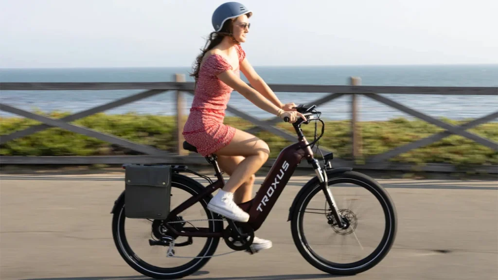 Perfect for Commuting and Recreation: Two-Seater Electric Bikes for Daily Rides and Outdoor Adventures